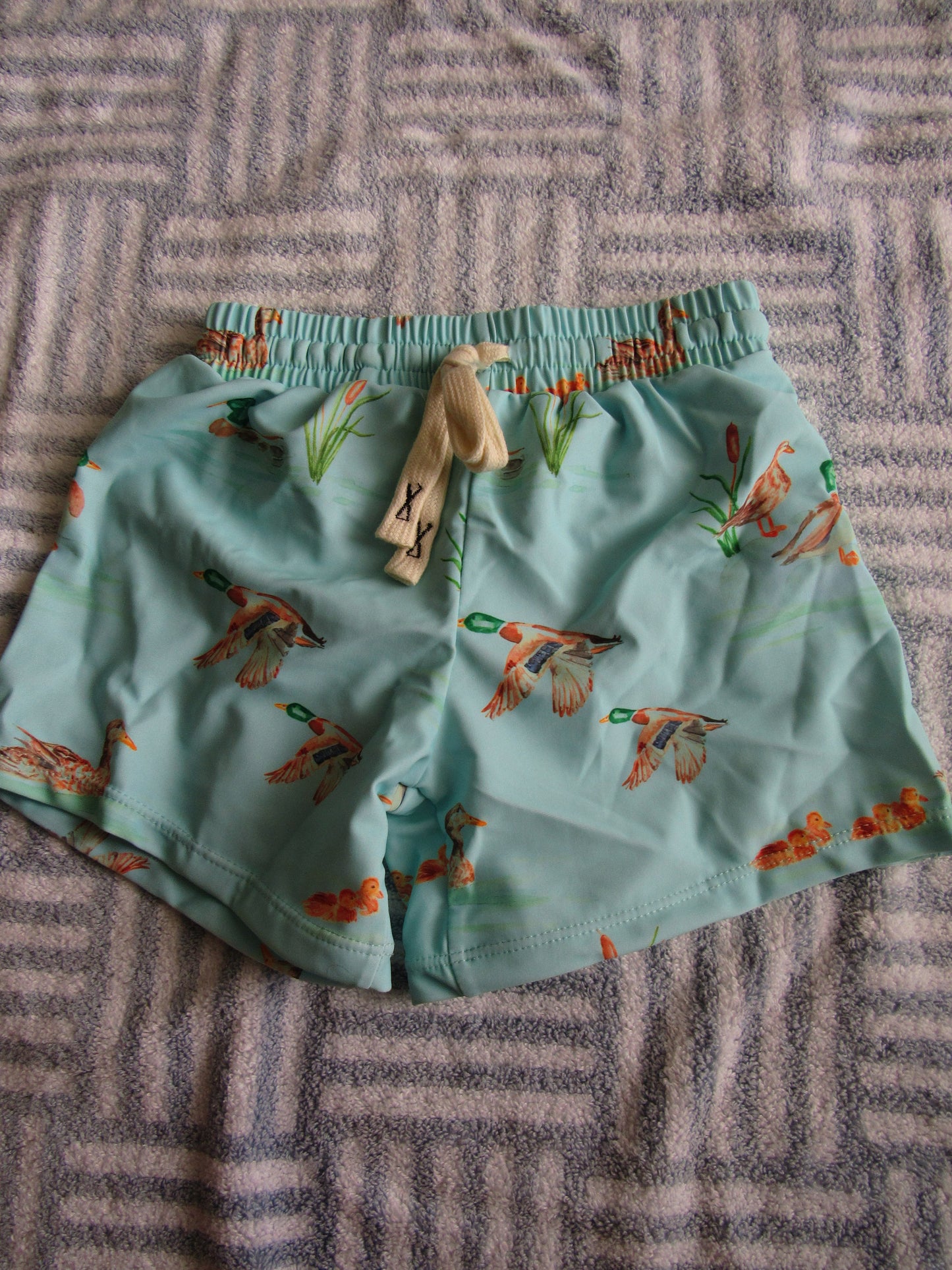 Duck Pond Swim Shorts