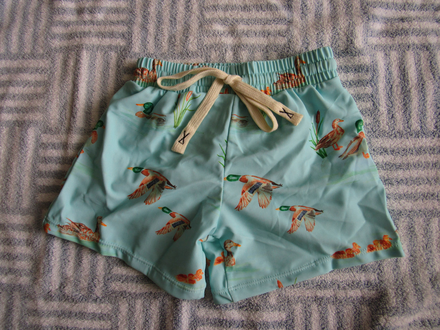Duck Pond Swim Shorts